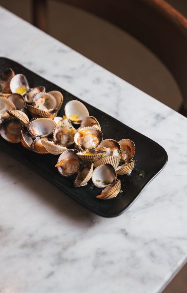 5_FN_IMATGESWEB_1000X1000_02-2023