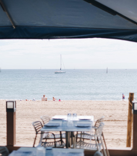 Ca la Nuri Restaurant in Barceloneta. Paellas by the Sea | Familia Nuri