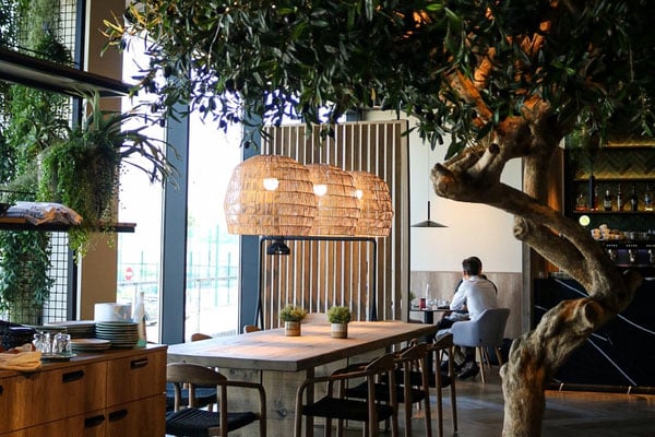 Arrozal sala interior I Familia Nuri