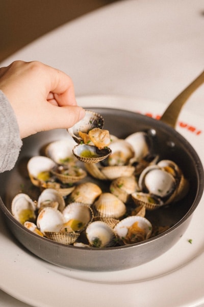 Reposicionament Bar Nuri escorpinyes I Familia Nuri